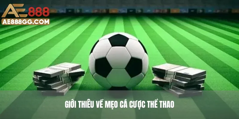 Tổng quan mẹo cá cược thể thao tại AE888.