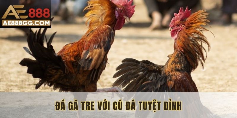 Đá gà tre với cú đá tuyệt đỉnh