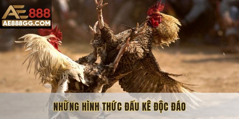 Những hình thức đấu kê độc đáo